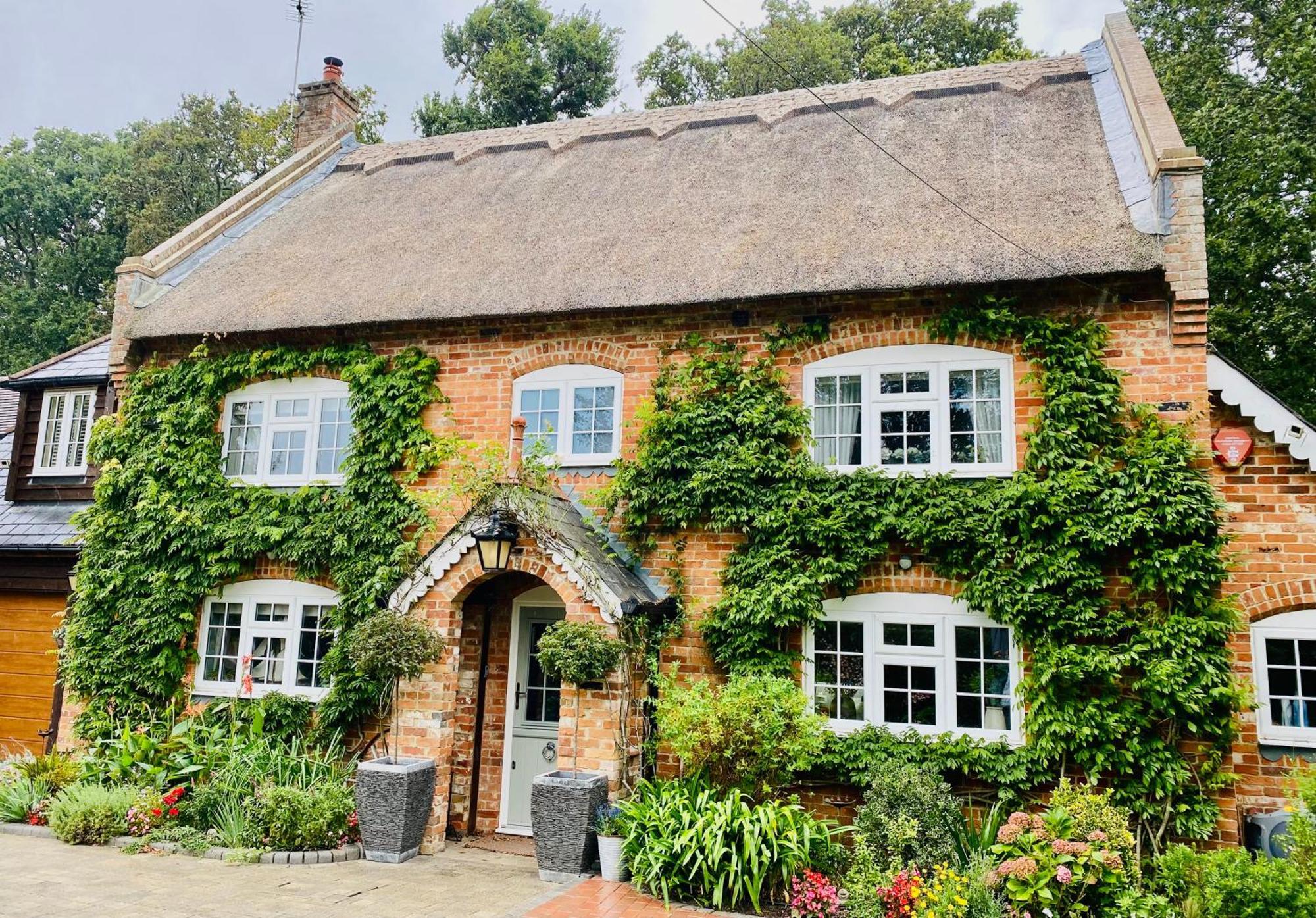 Little Woodside A Beautiful New Forest Self Contained Private Luxury Annexe 新米尔顿 外观 照片