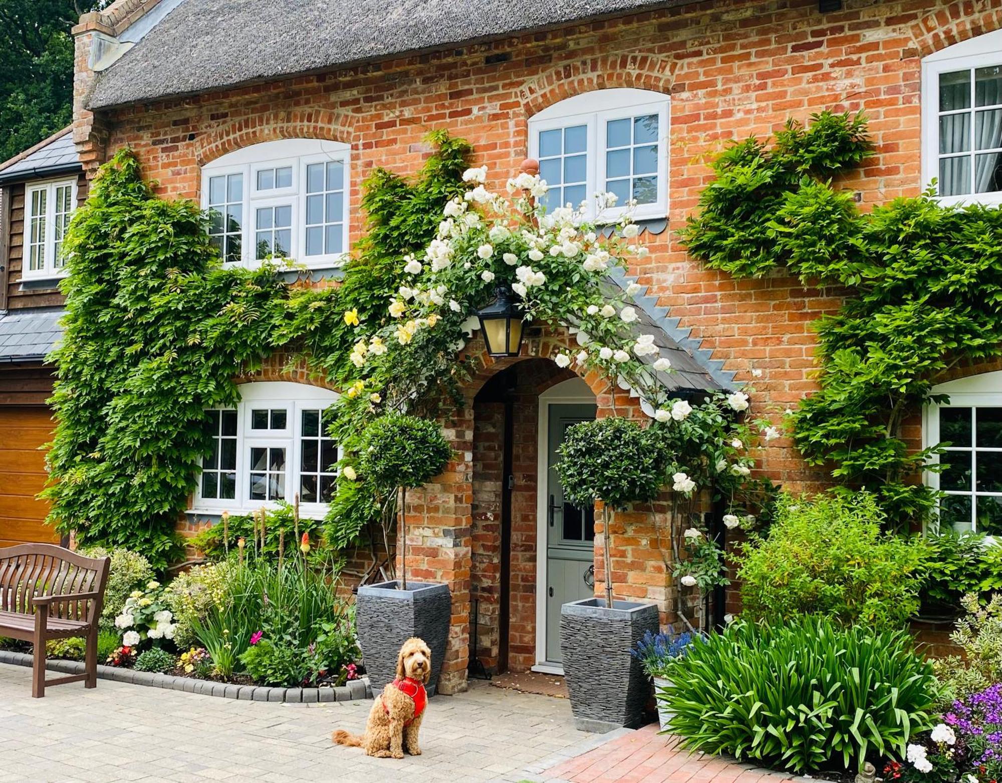 Little Woodside A Beautiful New Forest Self Contained Private Luxury Annexe 新米尔顿 外观 照片